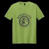 Softstyle ® T Shirt Thumbnail