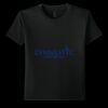 Youth Softstyle ® T Shirt Thumbnail