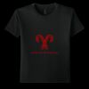 Youth Softstyle ® T Shirt Thumbnail